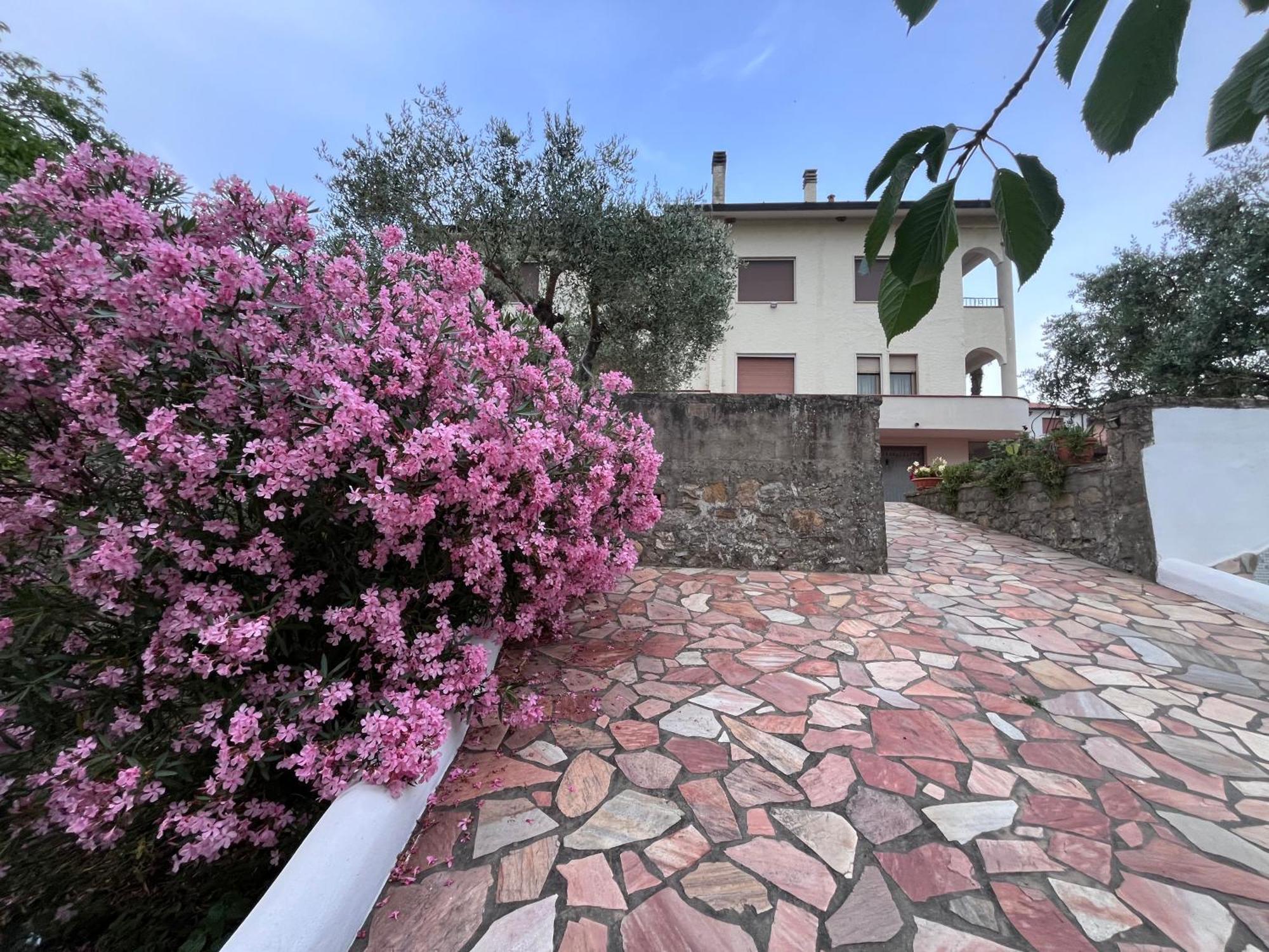 Ferienwohnung Casa Di Katia Collesalvetti Exterior foto